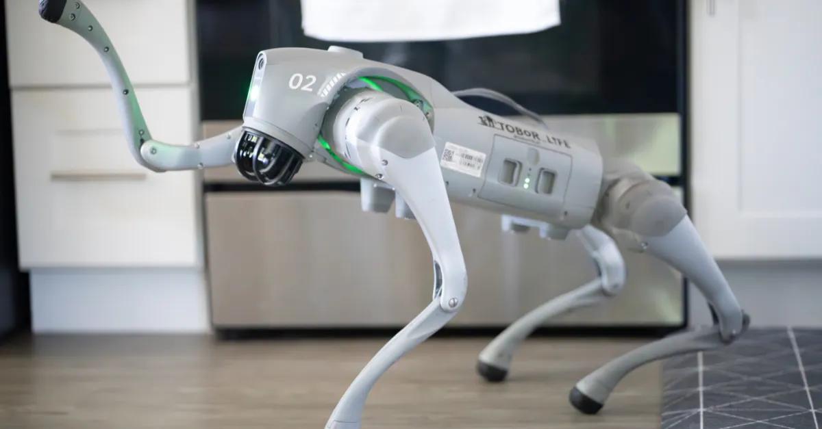 Unitree Robot Dog